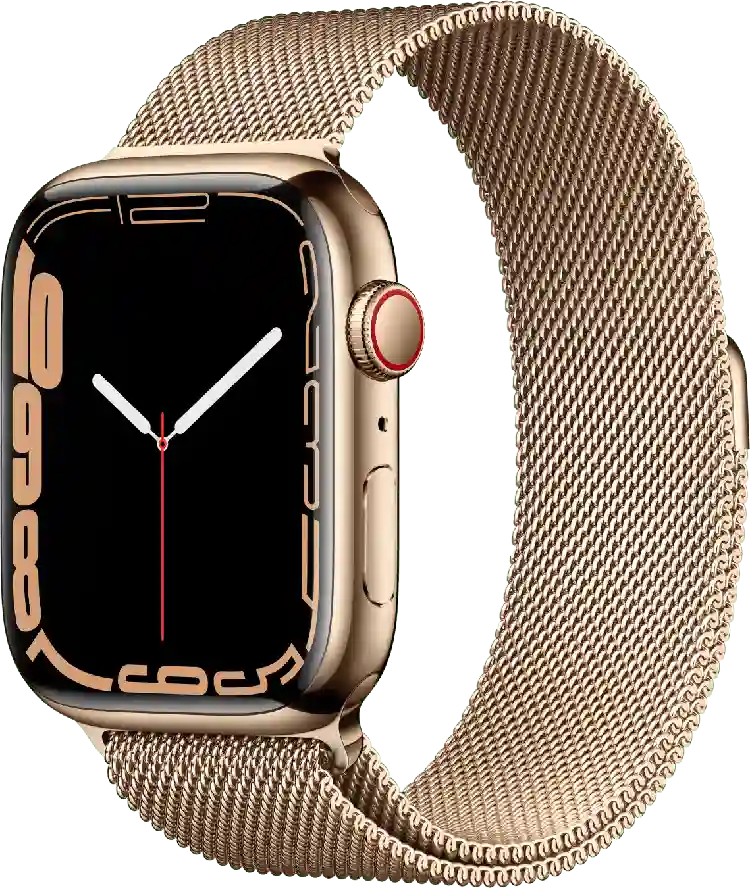 Apple Watch Series 7 GPS + Cellular, roestvrijstalen kast, 41 mm