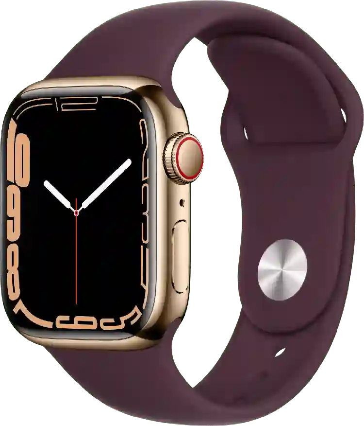 Apple Watch Series 7 GPS + Cellular, roestvrijstalen kast, 45 mm