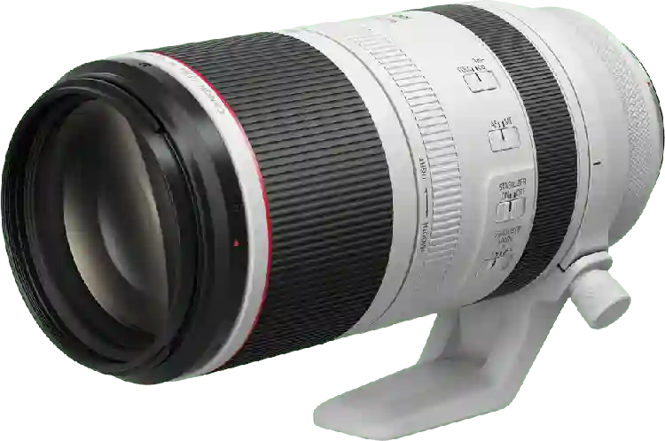 Canon RF 100-500mm f/4.5-7.1L IS USM Lens